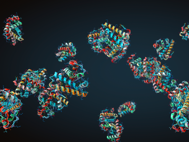 Graphic of Proteins